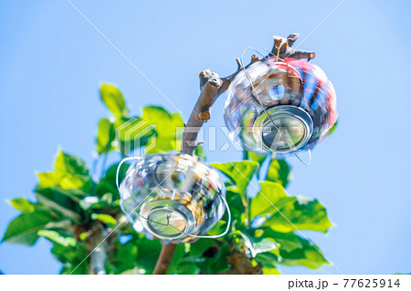 爽やかな音色で回る空き缶風車 77625914