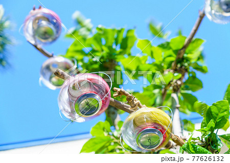 爽やかな音色で回る空き缶風車 77626132