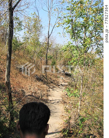 タイ、フア・ヒン（ホア・ヒン）のエレファント・ヴィレッジで探検気分。 77627364