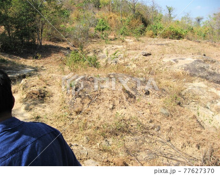 タイ、フア・ヒン（ホア・ヒン）のエレファント・ヴィレッジで探検気分。 77627370