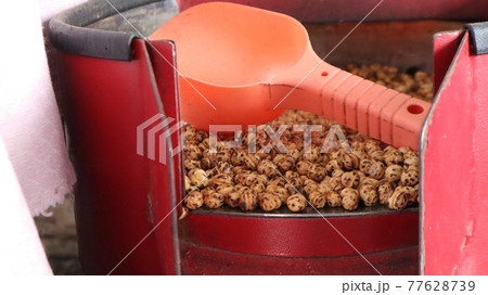 Vegan healthy snack,spicy roasted chickpeas background. Organic yellow Turkish leblebi texture at the spice bazaar in Turkey 77628739