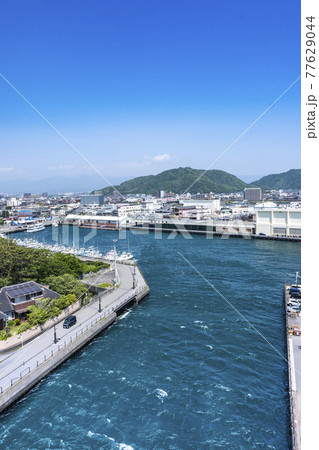 沼津港の大型展望水門「びゅうお」からの沼津港の眺望 77629044