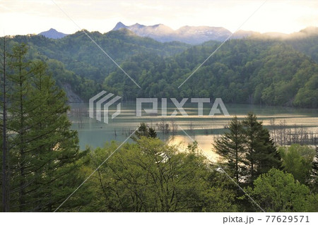 早朝の桂沢湖（北海道三笠市） 77629571