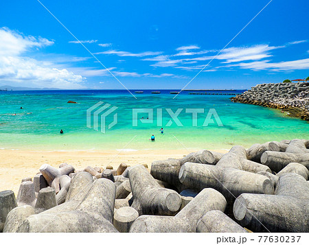 崎本部ゴリラチョップ 崎本部ゴリラチョップ 77630237