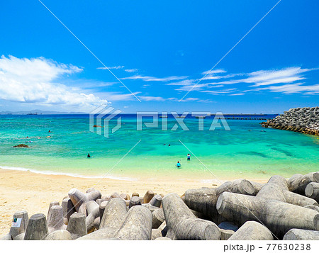 崎本部ゴリラチョップ 崎本部ゴリラチョップ 77630238