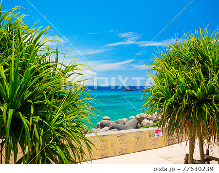 崎本部ゴリラチョップ 77630239