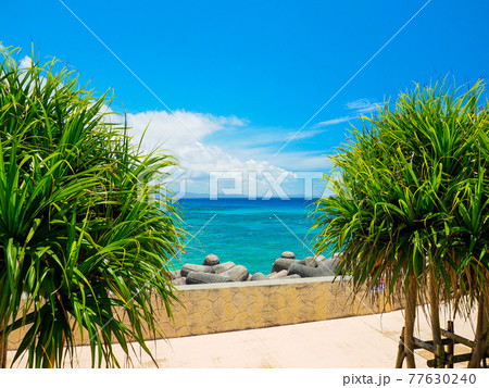 崎本部ゴリラチョップ 崎本部ゴリラチョップ 77630240