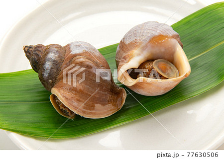 北海道産えぞばい貝の煮付け 77630506