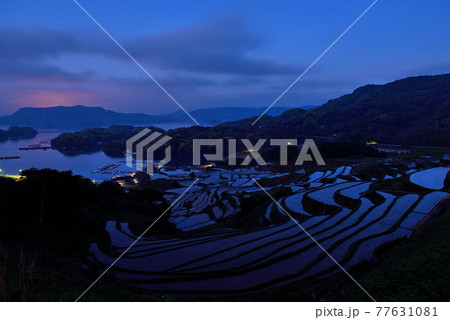 日の出前の大浦の棚田 77631081