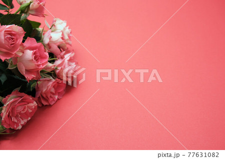 Rose buds on a colored paper background. Spring flowers. Place for text Rose buds on a colored paper background. Spring flowers. Place for text 77631082