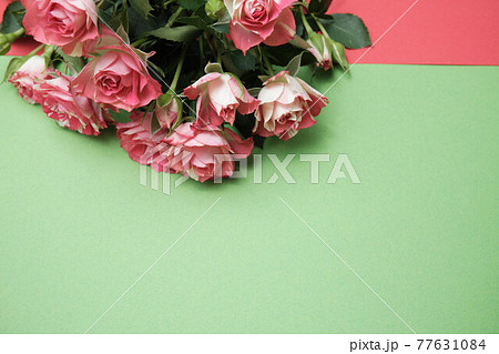 Rose buds on a colored paper background. Spring flowers. Place for text Rose buds on a colored paper background. Spring flowers. Place for text 77631084