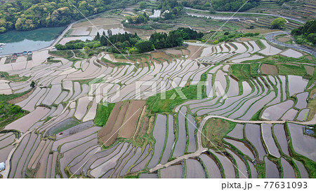 大浦の棚田のドローン空撮 77631093