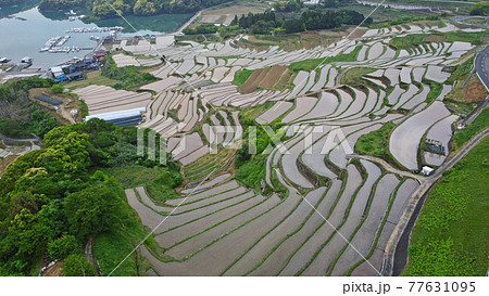 大浦の棚田のドローン空撮 77631095