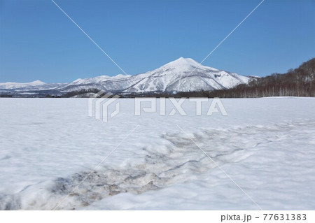 ニセコ連峰 77631383