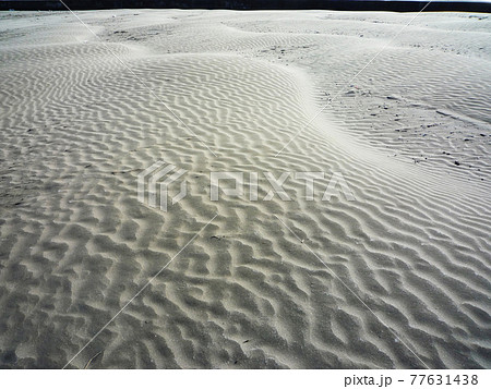 白い砂浜 77631438