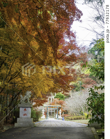 北鎌倉・建長寺 半僧坊の紅葉 北鎌倉・建長寺 半僧坊の紅葉 77632178