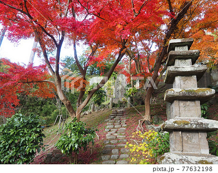 北鎌倉・建長寺 半僧坊の紅葉 北鎌倉・建長寺 半僧坊の紅葉 77632198