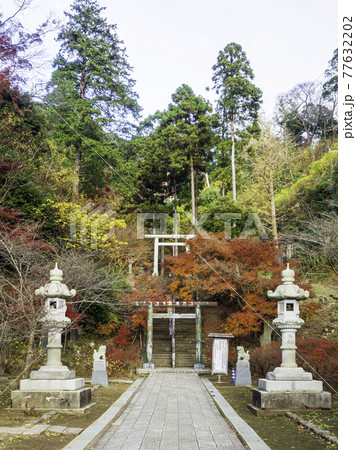 北鎌倉・建長寺　半僧坊の紅葉 77632202