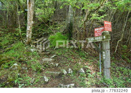 釈迦岳・御前岳登山「矢部越登山口」 77632240