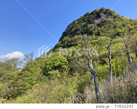 釈迦岳・御前岳登山「登山道から望む釈迦岳」 釈迦岳・御前岳登山「登山道から望む釈迦岳」 77632242