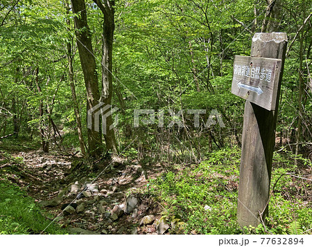 釈迦岳・御前岳登山「御前釈迦自然歩道」 釈迦岳・御前岳登山「御前釈迦自然歩道」 77632894