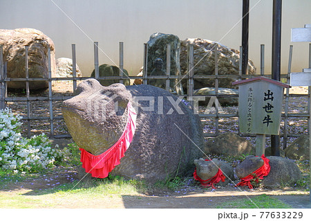 東京都葛飾区 東水元2丁目　業平山 南蔵院のしばられ地蔵　出世牛 77633229
