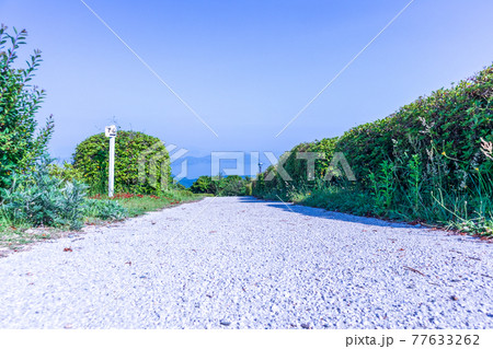 海へと続く坂道 海へと続く坂道 77633262