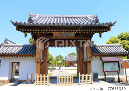 東京都葛飾区 東水元2丁目　業平山 南蔵院のしばられ地蔵　本堂と聖徳の松 77633389