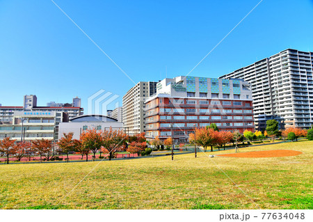 汐入公園(東京都荒川区)【2020.11】 汐入公園(東京都荒川区)【2020.11】 77634048