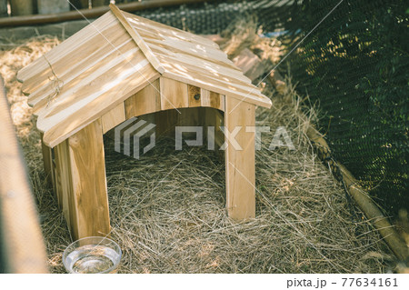Animal home in the garden green grass, rabbit small wooden house cute for pets in backyard outdoor. Animal home in the garden green grass, rabbit small wooden house cute for pets in backyard outdoor. 77634161