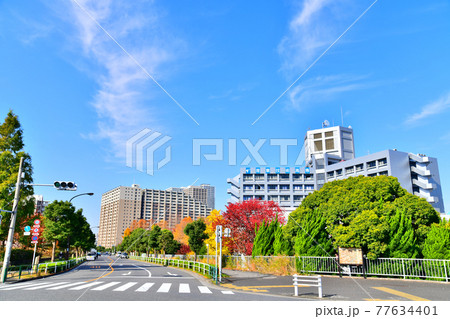 瑞光橋公園、産業技術高専周辺(東京都荒川区)【2020.11】 瑞光橋公園、産業技術高専周辺(東京都荒川区)【2020.11】 77634401