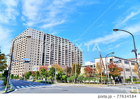 【瑞光橋公園前】交差点より荒川区立汐入小学校、トキアス方面を望む(東京都荒川区)【2020.11】 【瑞光橋公園前】交差点より荒川区立汐入小学校、トキアス方面を望む(東京都荒川区)【2020.11】 77634584