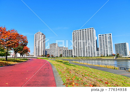 汐入公園より千住汐入大橋／隅田川周辺を望む(東京都荒川区)【2020.11】 77634938