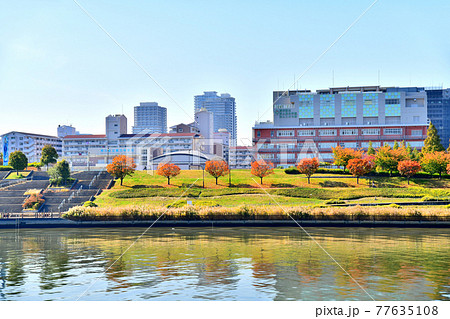 隅田川越しに汐入公園方面を望む(東京都荒川区)【2020.11】 隅田川越しに汐入公園方面を望む(東京都荒川区)【2020.11】 77635108