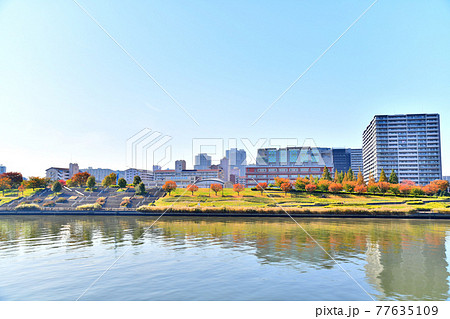 隅田川越しに汐入公園方面を望む(東京都荒川区)【2020.11】 77635109