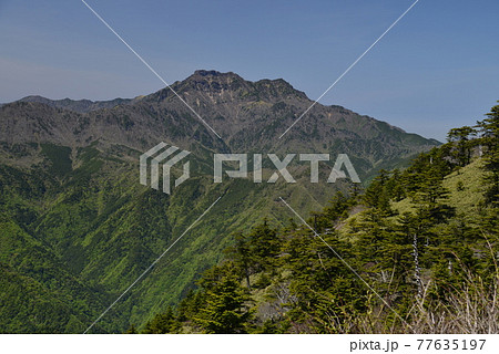 石鎚山（5月瓶ヶ森より） 77635197