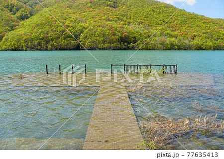 春のオタルナイ湖 77635413