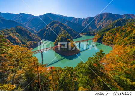 奥大井湖上駅の紅葉 77636110