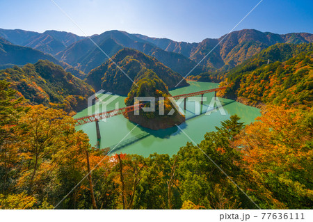 奥大井湖上駅の紅葉 77636111