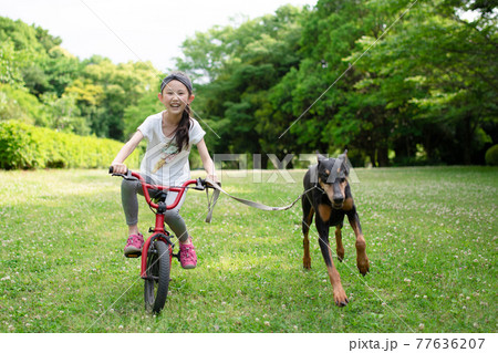 自転車に乗って犬の散歩をする少女の写真素材