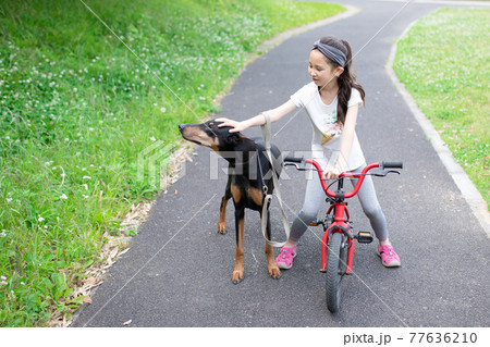 自転車に乗って犬の散歩をする少女の写真素材