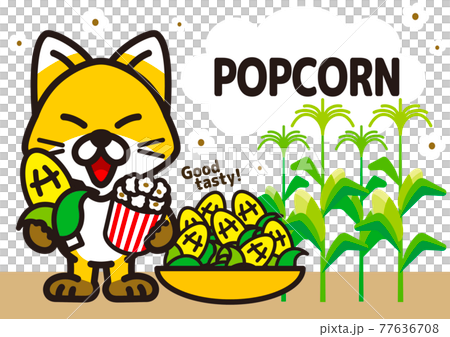 Popcorn, corn and fox 77636708