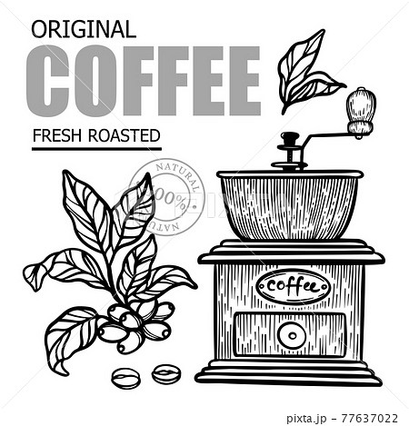 COFFEE MILL AND COFFEE BRANCH Design Of Stickers And Labels For Shop Of Dessert Drink Products In Vintage Style Hand Drawn Vector Illustration Set For Print COFFEE MILL AND COFFEE BRANCH Design Of Stickers And Labels For Shop Of Dessert Drink Products In Vintage Style Hand Drawn Vector Illustration Set For Print 77637022