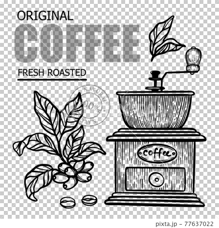 COFFEE MILL AND COFFEE BRANCH Design Of Stickers And Labels For Shop Of Dessert Drink Products In Vintage Style Hand Drawn Vector Illustration Set For Print COFFEE MILL AND COFFEE BRANCH Design Of Stickers And Labels For Shop Of Dessert Drink Products In Vintage Style Hand Drawn Vector Illustration Set For Print 77637022