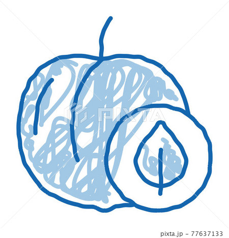 Peach Fruit Leaf doodle icon hand drawn illustration Peach Fruit Leaf doodle icon hand drawn illustration 77637133