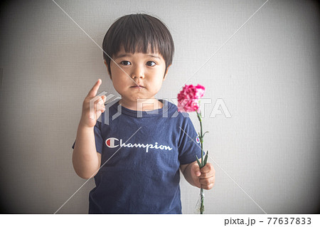 ピンクのカーネーションを持ってポーズをとる三歳男子 77637833