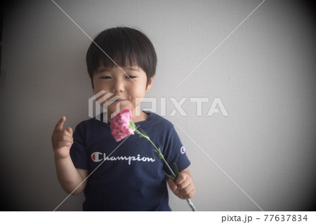 ピンクのカーネーションを持ってポーズをとる三歳男子 77637834