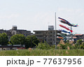 鯉のぼりの見える風景 77637956