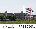 鯉のぼりの見える風景 77637961