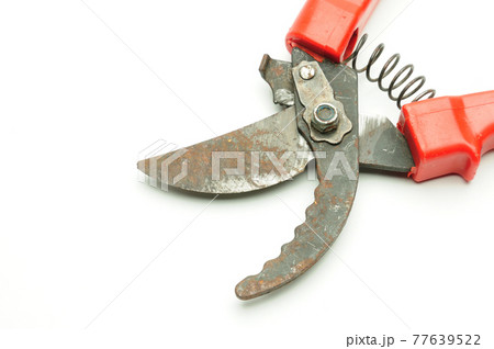 Scissors for pruning tree branches and bushes on a white background Scissors for pruning tree branches and bushes on a white background 77639522